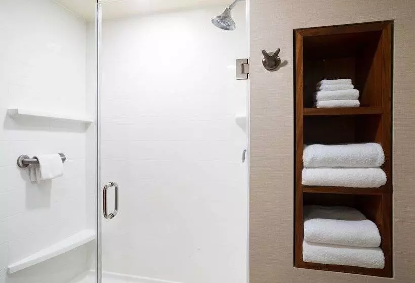 سوییت جونیور, Courtyard By Marriott Maui Kahului Airport
