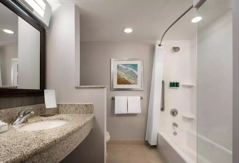 اتاق استاندارد با تخت بزرگ, Courtyard By Marriott Maui Kahului Airport