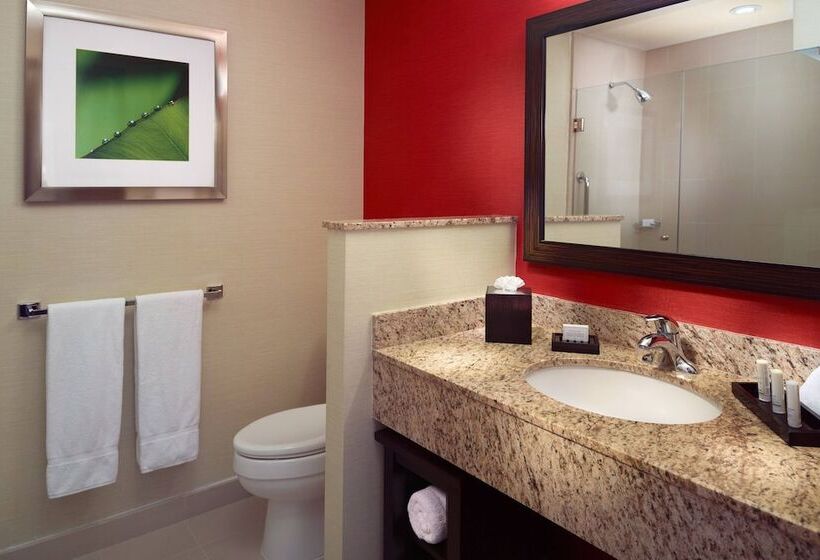 اتاق استاندارد با 2 تخت دوبل, Courtyard By Marriott Mexico City Airport