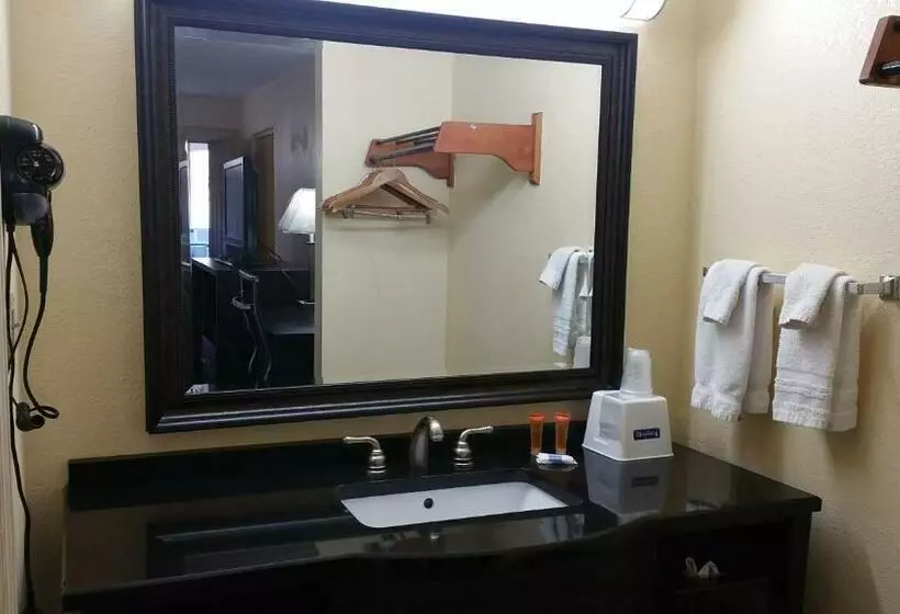 キングサイズベッドのスタンダードルーム, Days Inn By Wyndham Ridgeland South Carolina