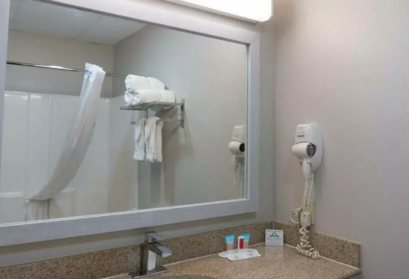障害者適応デラックスルーム, Days Inn & Suites By Wyndham Savannah North I95