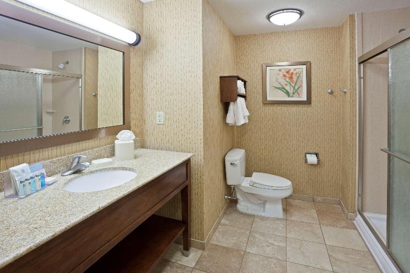 带大床的标准间, Hampton Inn Matamoras/milford