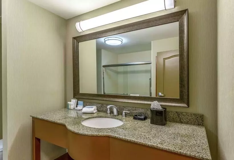 スタンダードルーム, Hampton Inn Okeechobee   Lake Okeechobee
