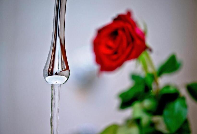 חדר דלוקס לארבעה, Jupiter Luxury