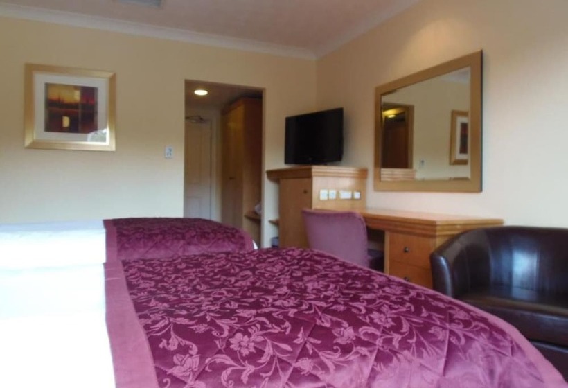 غرفة قياسية, Lakeside International