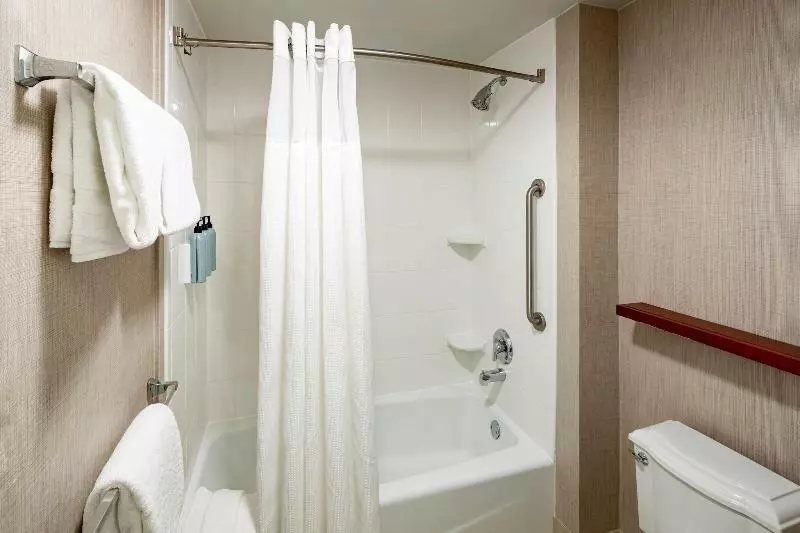 Standard-studio King-vuode, Residence Inn By Marriott San Juan Capistrano