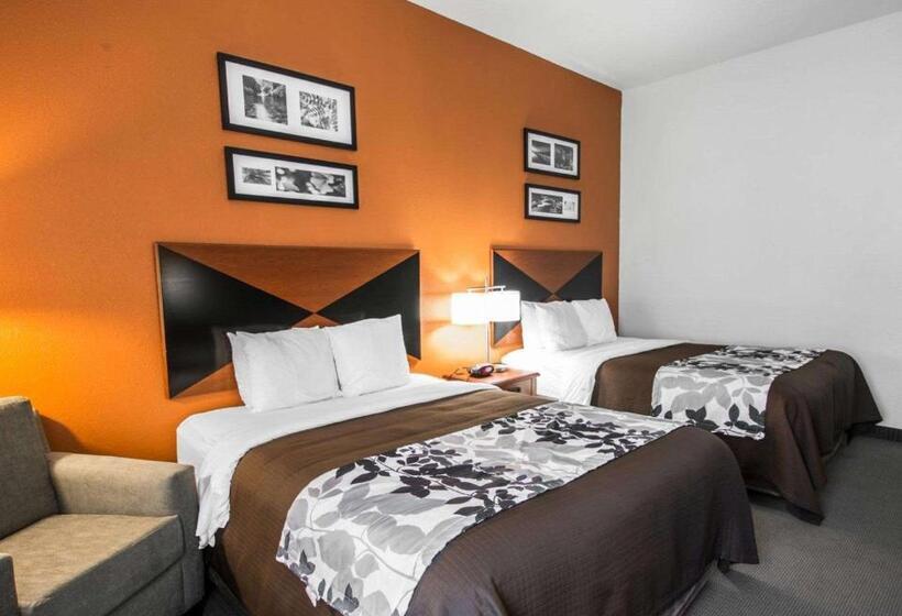 غرفة قياسية, Sleep Inn & Suites Palatka North
