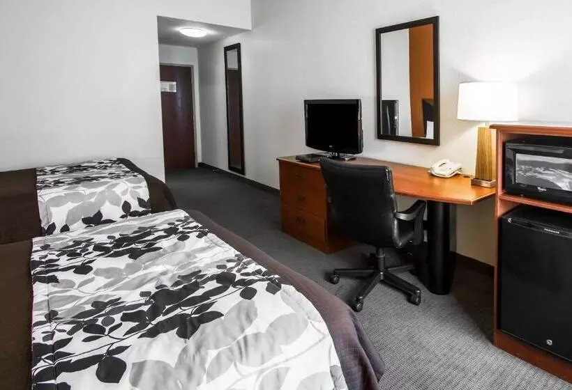 スタンダードルーム, Sleep Inn & Suites Palatka North