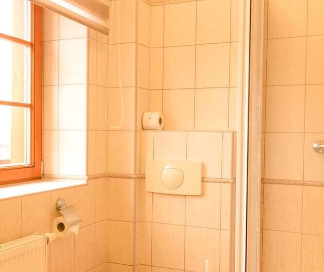 Standard-huone, Vítkova Hora Veitsberg