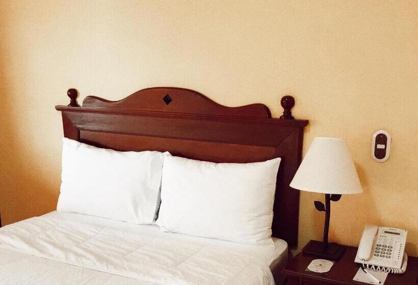 스탠다드 룸, Villa Terra