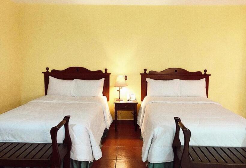 스위트, Villa Terra