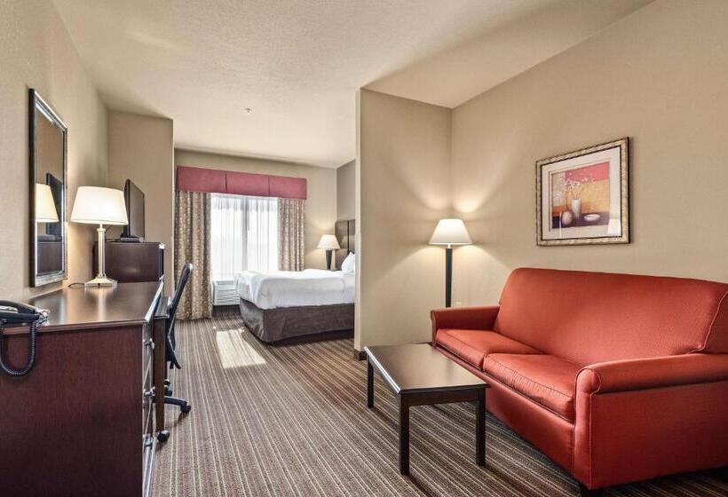 غرفة قياسية سرير كينج, Surestay Plus Hotel By Best Western Portland Route 52 West