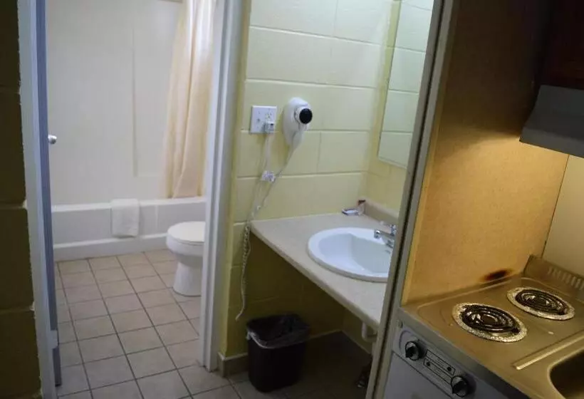 デラックスルーム, White Oaks Motel Pennsville/carneys Point