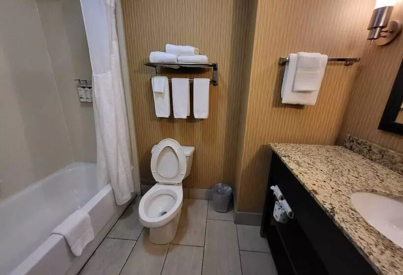 身障者適用スイートルーム, Holiday Inn Express & Suites   Smithfield/selma, An Ihg