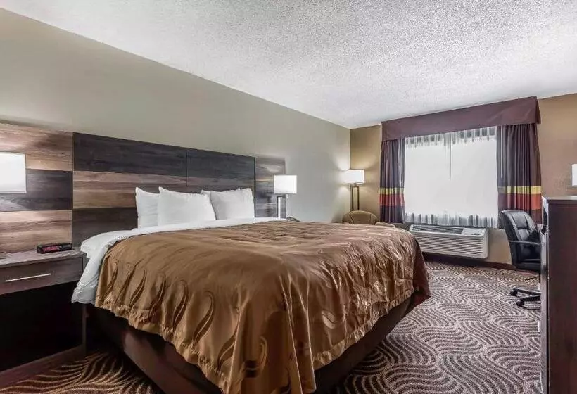 キングサイズベッドのスタンダードルーム, Quality Inn & Suites