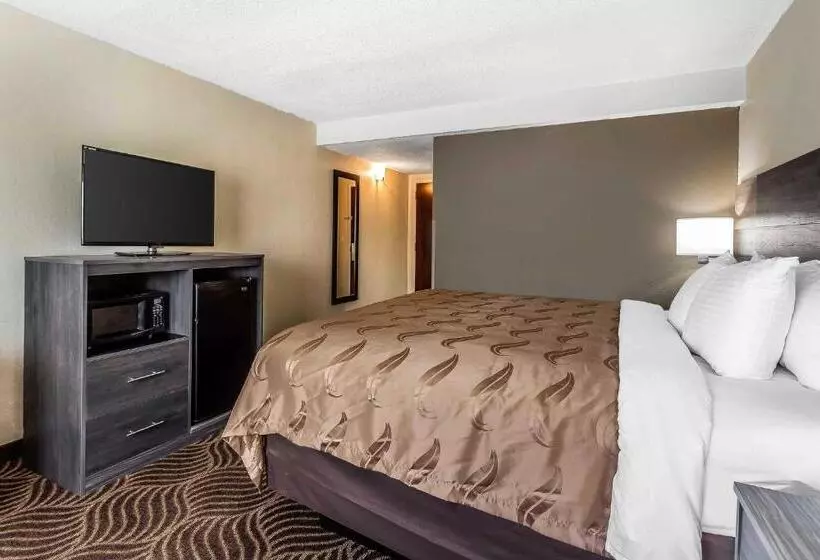 キングサイズベッドのスタンダードルーム, Quality Inn & Suites