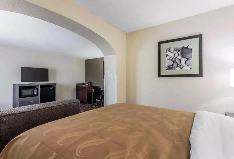 キングサイズベッドのスイートルーム, Quality Inn & Suites