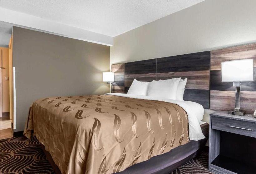 Номер Стандарт Кровать Кинг Адаптированный для Инвалидов, Quality Inn & Suites