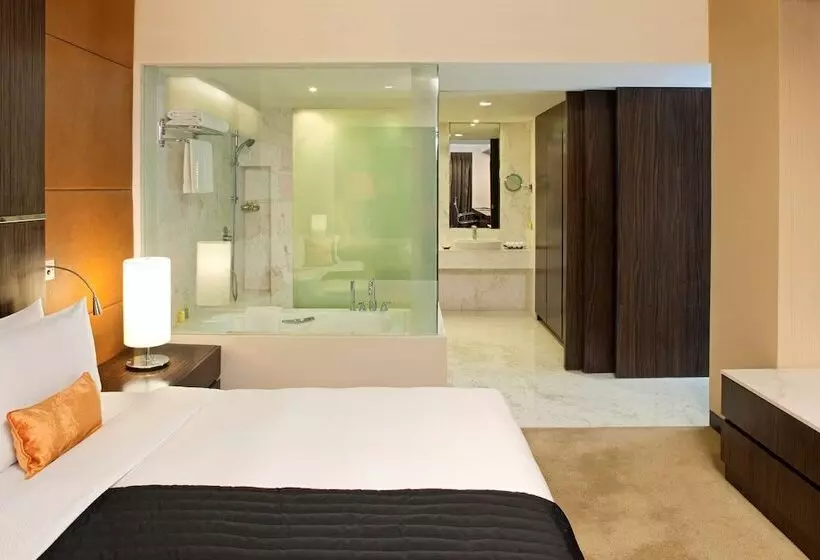 ジュニアスイート, Radisson Blu Hotel Amritsar