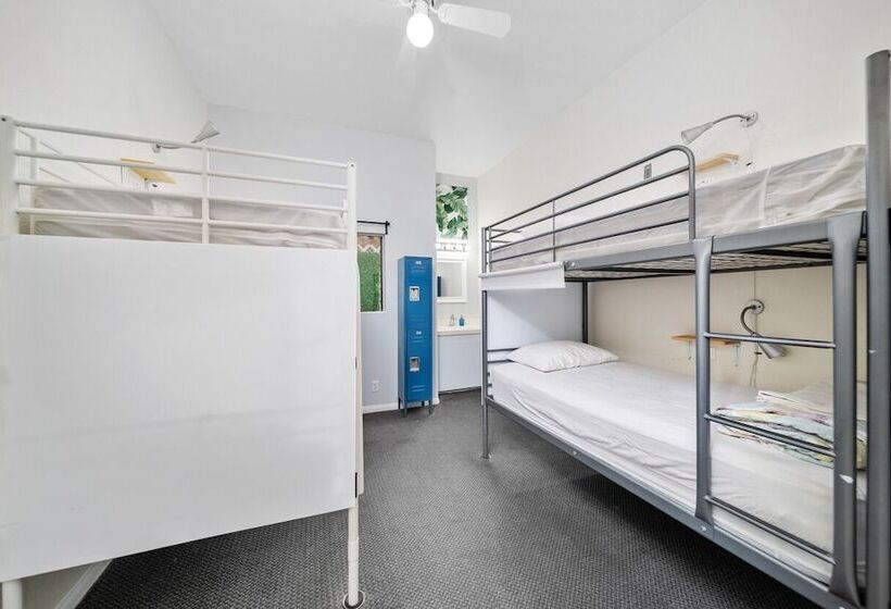 تختخواب در اتاق مشترک, Samesun Venice Beach Hotel & Hostel