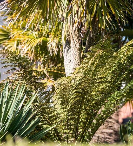 スタンダードルーム, No5 Durley Road Contemporary Serviced Rooms And Suites No Food Available