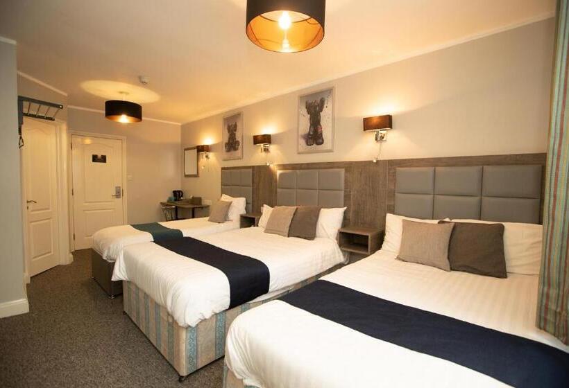 ファミリールーム, Comfotel Blu