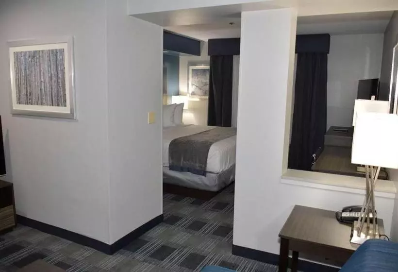 Executive-sviitti King-vuode, Best Western Town Center Inn
