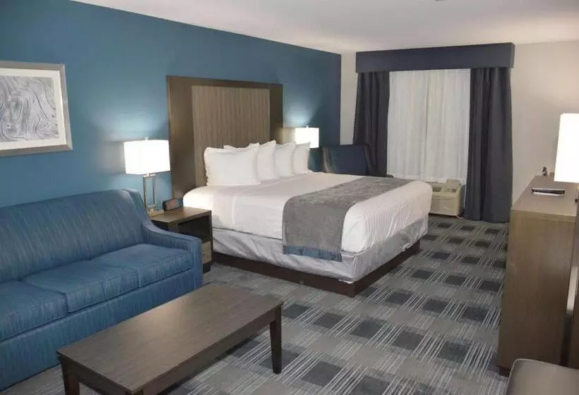 Standard-huone King-vuode, Best Western Town Center Inn