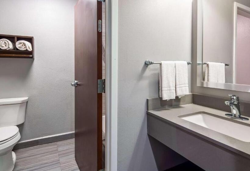 스탠다드 룸 킹사이즈 침대, Best Western Town Center Inn