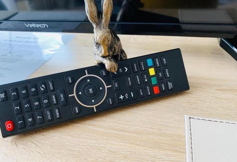 标准间, Cambrian House