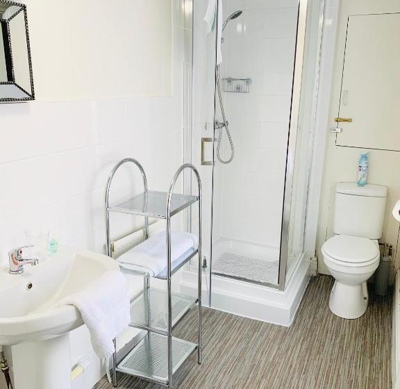 标准单人间, Cambrian House