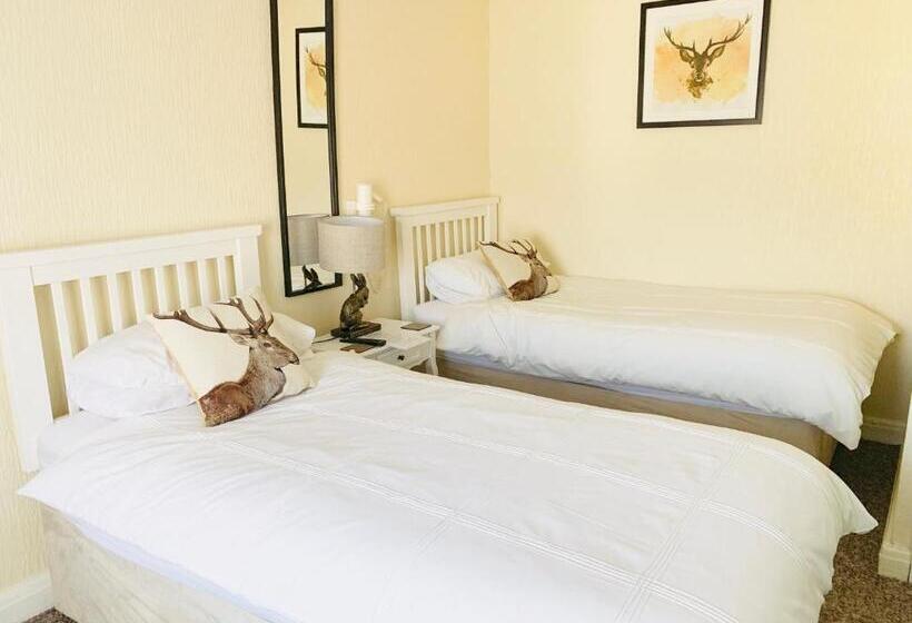 标准间, Cambrian House