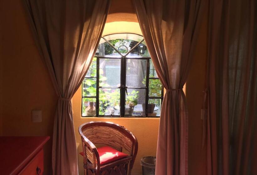 스탠다드 룸, Casa De La Noche