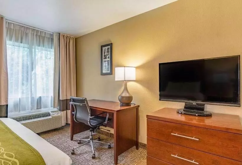 スタンダードルーム, Comfort Inn & Suites Tuscumbiamuscle Shoals