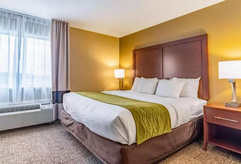 キングサイズベッドのスイートルーム, Comfort Inn & Suites Tuscumbiamuscle Shoals