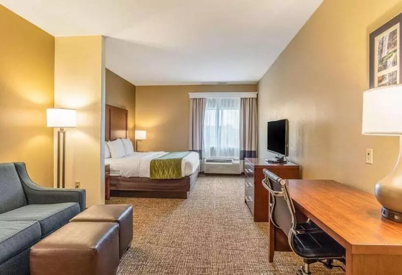 キングサイズベッドのスイートルーム, Comfort Inn & Suites Tuscumbiamuscle Shoals