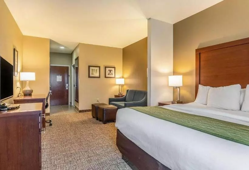 キングサイズベッドのスイートルーム, Comfort Inn & Suites Tuscumbiamuscle Shoals