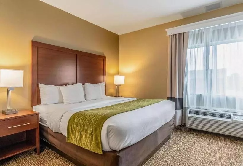 キングサイズベッドのスイートルーム, Comfort Inn & Suites Tuscumbiamuscle Shoals