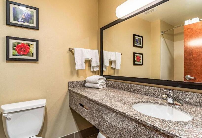 Люкс Кровать Кинг, Comfort Inn & Suites Tuscumbiamuscle Shoals