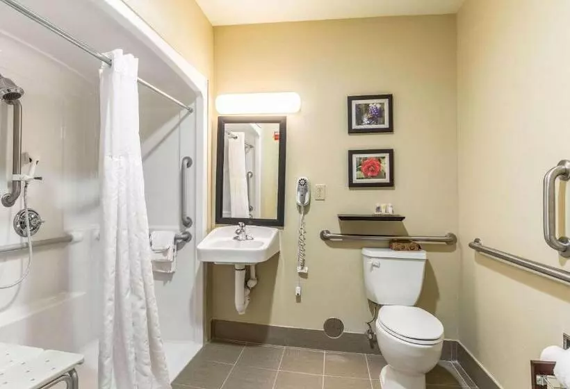 身障者適用スタンダードルーム, Comfort Inn & Suites Tuscumbiamuscle Shoals