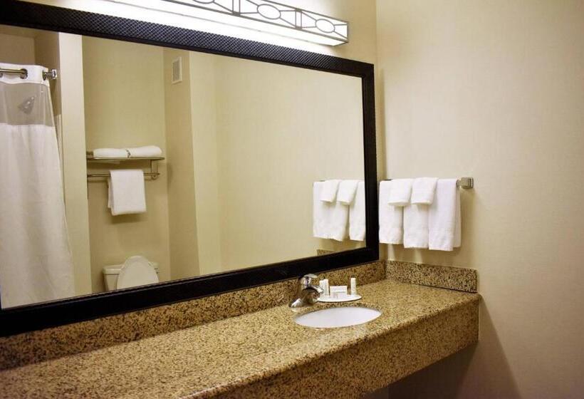 غرفة قياسية سرير كينج, Fairfield Inn And Suites By Marriott Strasburg Shenandoah Valley