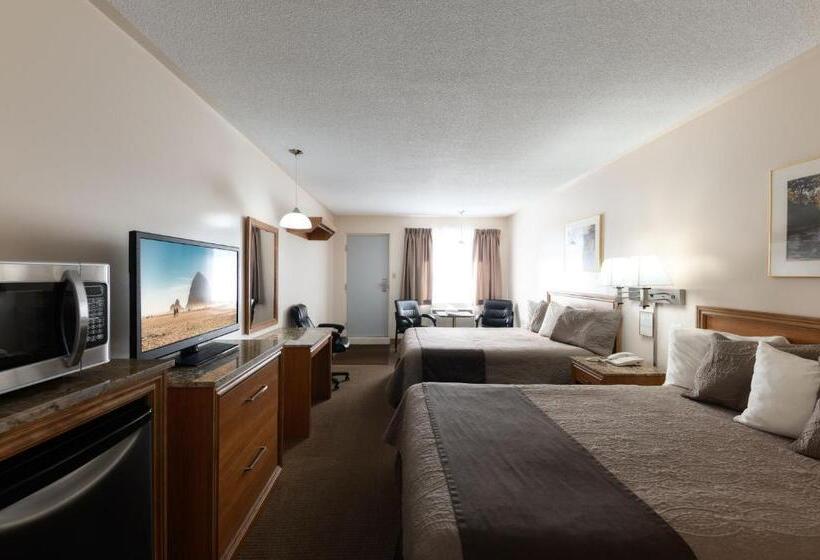 Номер Стандарт, Newmarket Inn