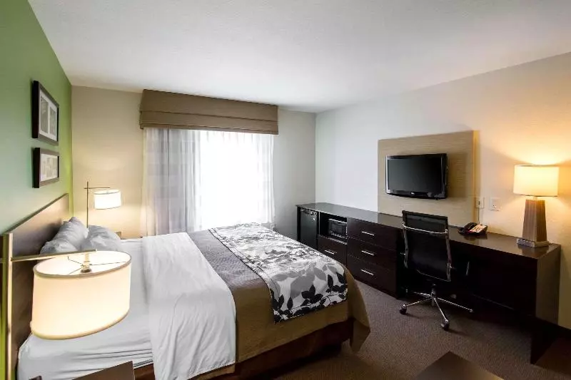 キングサイズベッドのスイートルーム, Sleep Inn & Suites