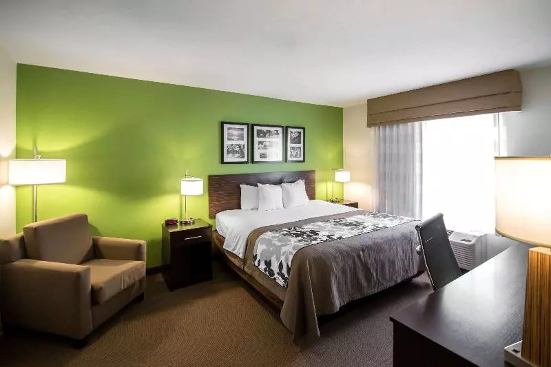 キングサイズベッドのスイートルーム, Sleep Inn & Suites