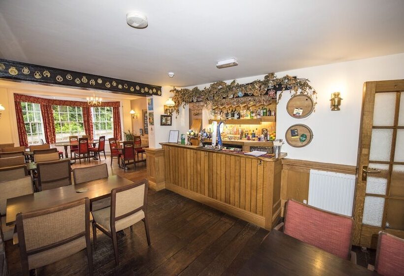 Номер Стандарт, The Frocester