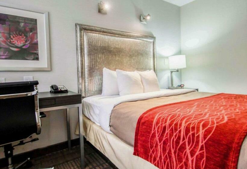 장애인을 위한 스탠다드 룸, Comfort Inn Manhattan  Midtown West