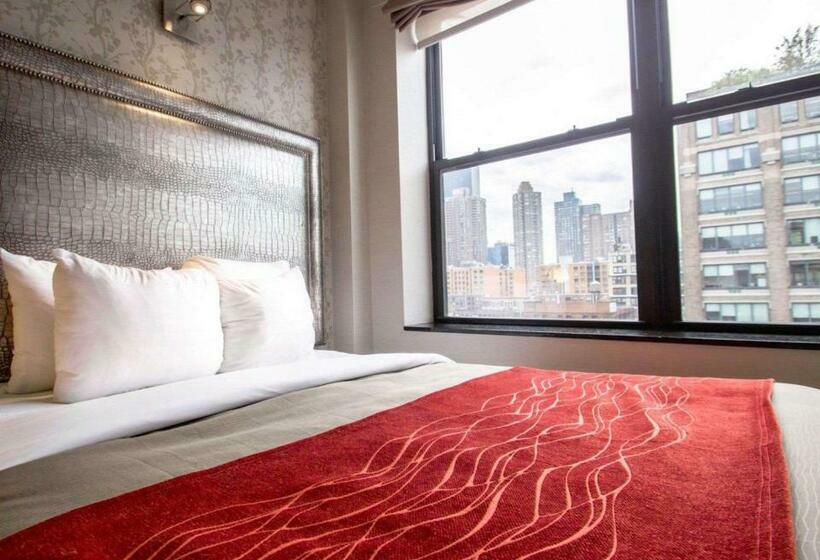标准间, Comfort Inn Manhattan Midtown West