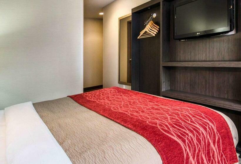 标准间, Comfort Inn Manhattan Midtown West