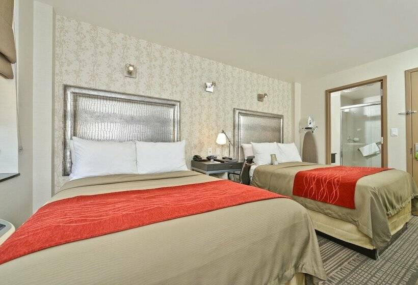 标准间, Comfort Inn Manhattan Midtown West