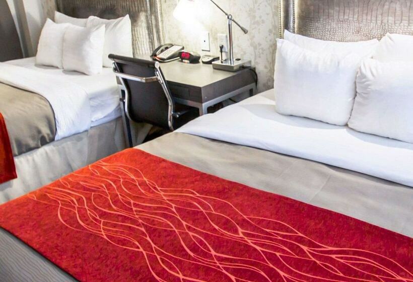 标准间, Comfort Inn Manhattan Midtown West